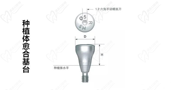 種植體愈合基臺(tái)