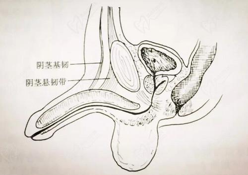 李世榮醫(yī)生做男科手術(shù)怎么樣