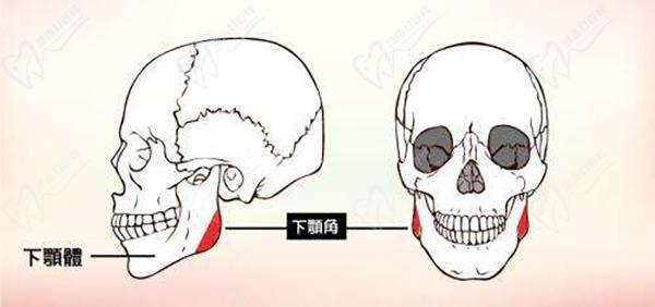 重慶星榮劉正茂簡介