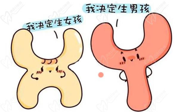 泰國(guó)變性手術(shù)需要多少錢