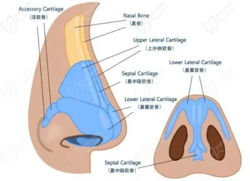 杭州藝星徐利剛醫(yī)生做鼻子怎么樣