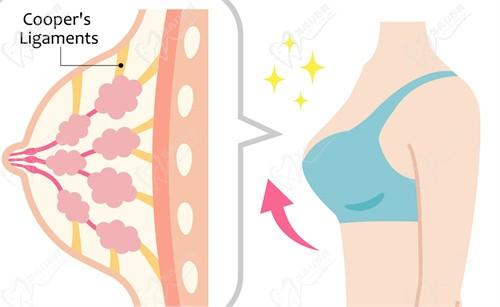 黃廣香和朱云做胸的區(qū)別：深度分析黃廣香和朱云隆胸技術(shù)風(fēng)格差異及案例對比