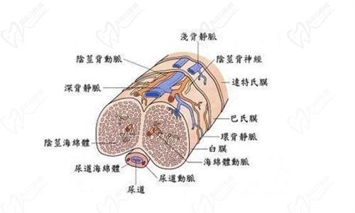 2025李世榮教授還出診嗎?在的-李世榮醫(yī)生目前在重慶星榮整形出門診,可通過電話/官網(wǎng)/微信預約